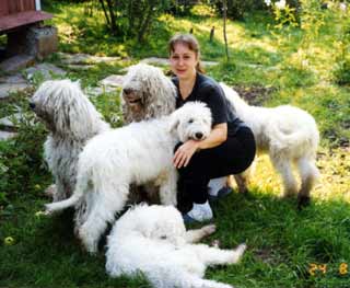 Кришвалова Н.М. с щенками комондора.